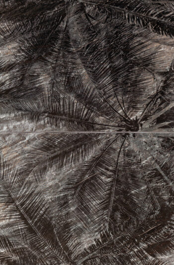 Πλακάκι - Sedona Palms 2 Wall Mat 898x658 Tubadzin